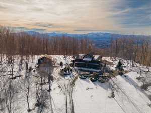 vacation rental condos